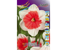 45,02���. ������� ����(�������� ���� �� 5 ��., ����������� ����� 1��.).jpg