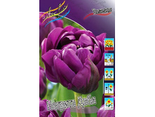 12,04���. ������� ������� ����(���������� ������ ������ ���������� �� 10 ��.).jpg