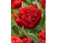 38���. ������� ������(�������� ���� �� 7 ��., ����������� ����� 2��.)���17.jpg