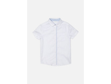 20100290002   Bromine   ¦-¦¦¦¬T�¦¦(¦-T�¦¦).jpg