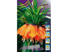 94,35���. ����������� ������(�������� ���� �� 2 ��., ����������� ����� 1��.).jpg