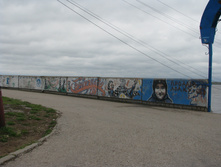 IMG 7353.JPG
