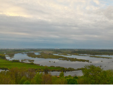 P 20170520 193835 HDR.jpg