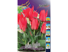 12,48���. ������� ��� ����(���������� ������ ������ ���������� �� 10 ��.).jpg