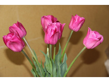 ������� ��������� (�ϣ ����)