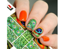 34 ���. - ������� ������ Esmalte N 156