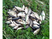 IMG 20170521 093149.jpg