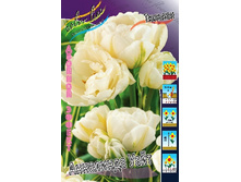 27,34���. ������� ��������� ����(�������� ���� �� 10 ��., ����������� ����� 5��.).jpg