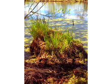 IMG 20170507 120448.jpg