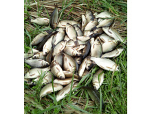 IMG 20170521 110937.jpg