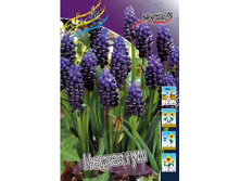 8,77���. ������� ���������(���������� ������ ������ ���������� �� 10 ��.).jpg