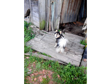 IMG 20140714 201415.jpg