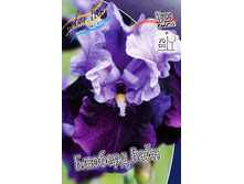 81,8���. ���� ���������� ������� ����(�������� ���� �� 2 ��., ����������� ����� 1��.).jpg