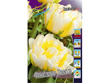 21,4���. ������� ������� �����(�������� ���� �� 10 ��., ����������� ����� 5��.).jpg