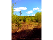 IMG 20170507 131014.jpg