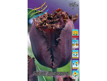 25,85���. ������� ���� ������(�������� ���� �� 10 ��., ����������� ����� 5��.).jpg