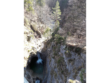 20170316 132947.jpg