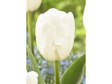 15,46���. ������� ���������(�������� ���� �� 10 ��., ����������� ����� 5��.)���17.jpg