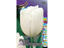 11���. ������� ���� �������(���������� ������ ������ ���������� �� 10 ��.).jpg