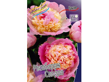 253,3���. ���� ��������� ������(���������� ������ ������ ���������� �� 1 ��.).jpg