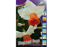 36,1���. ������� ������� ����(�������� ���� �� 5 ��., ����������� ����� 2��.).jpg