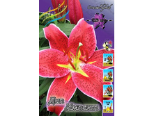 21,87���. ����� ��� ������(�������� ���� �� 7 ��., ����������� ����� 3��.).jpg