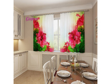 07584.��������� "����� ���������"