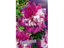 328���. ���� ���������(���������� ������ ������ ���������� �� 1 ��.).jpg