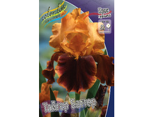 81,8���. ���� ���������� ������ ������(�������� ���� �� 2 ��., ����������� ����� 1��.).jpg