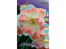 23,14���. ������� ��� ����(�������� ���� �� 7 ��., ����������� ����� 3��.).jpg