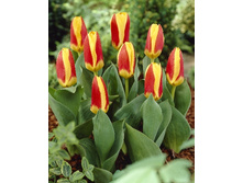 12,48���. ������� ������(���������� ������ ������ ���������� �� 10 ��.).jpg