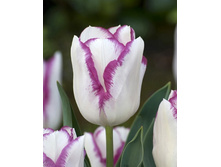 18,13���. ������� ������(�������� ���� �� 10 ��., ����������� ����� 5��.).jpg