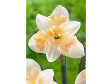 20,65���. ������� ���������(�������� ���� �� 10 ��., ����������� ����� 5��.)���17.jpg