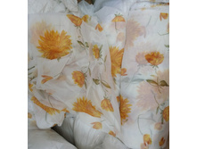 ������ �������.jpg