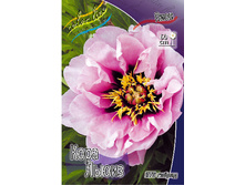 1209,9���. ���� ���� ����� (���)(�������� ���� �� 1 ��., ����������� ����� 1��.).jpg