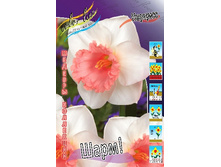 41,3���. ������� ����!(�������� ���� �� 5 ��., ����������� ����� 1��.).jpg