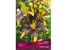 ����� ����� ����.jpg