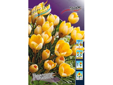 3,07���. ������ ������ (����.)(���������� ������ ������ ���������� �� 15 ��.).jpg