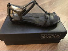 2974 ��� � ��� ������