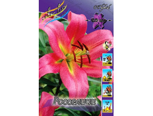 28,24���. ����� ���������(�������� ���� �� 5 ��., ����������� ����� 3��.).jpg