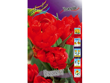 13,23���. ������� ������(���������� ������ ������ ���������� �� 10 ��.).jpg