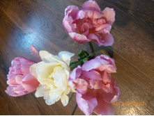 ���� ������