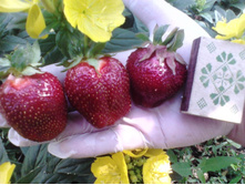 ��������� ����������.jpg