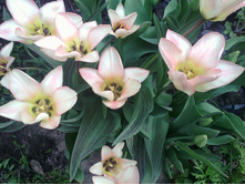 �������� ���� ����