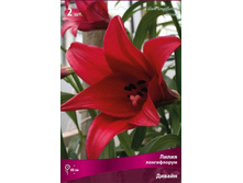 ����� ������.jpg