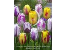 11,74���. ������� �������� ����(���������� ������ ������ ���������� �� 10 ��.)���17.jpg