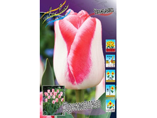 22,88���. ������� �������(�������� ���� �� 10 ��., ����������� ����� 5��.)���16.jpg