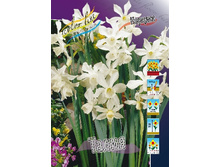 11,74���. ������� �����(���������� ������ ������ ���������� �� 10 ��.)���17.jpg