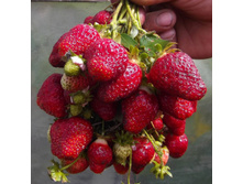 ��������� ������ �����.jpg