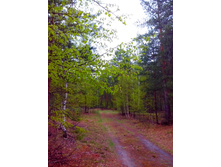 IMG 20170508 161049.jpg